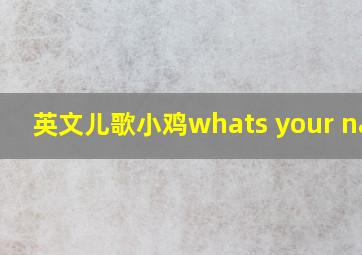 英文儿歌小鸡whats your name